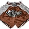 Muay Thai Shorts - Brown/Silver -Boxing Shop DSC 2608 84122.1501943115.1280.1280