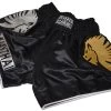 Muay Thai Shorts - LIONS -Boxing Shop DSC 2632 92239.1501944449.1280.1280