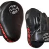 CUSTOM Curved Punch Mitts -Boxing Shop R2C07N 2 logo 91793.1603837641.1280.1280