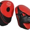 CUSTOM Deluxe Punch Mitts -Boxing Shop RC33N 2 logo 28727.1603838701.1280.1280
