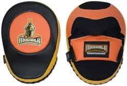 MUGHALS Curved Punching Mitt -Boxing Shop Untitled 2 28631.1500772610.1280.1280