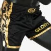 Fairtex BSG1 Muay Thai Shorts -Boxing Shop s335907598948138341 p1553 i1 w1284