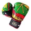 HFG TRAINING GLOVES "SOVEREIGNTY FLAG" -Boxing Shop s335907598948138341 p163 i3 w430