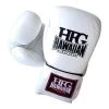 HFG PLATINUM II TRAINING GLOVES -Boxing Shop s335907598948138341 p164 i1 w404