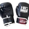 HFG KIDS BOXING GLOVES -Boxing Shop s335907598948138341 p177 i1 w480
