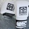VK X ALLHAWAII X BJPENN BOXING GLOVES -Boxing Shop s335907598948138341 p323 i1 w1552