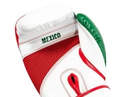 TITLE Infused Foam El Combate Mexico Training Gloves -Boxing Shop s335907598948138341 p404 i4 w1125