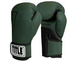 TITLE Boxing Vegan Fitness Boxing Gloves