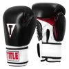 TITLE Classic Leather Super Bag Gloves 2.0 -Boxing Shop s335907598948138341 p619 i2 w1109
