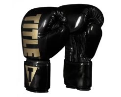 TITLE Boxing Inferno Intensity Elastic Training Gloves